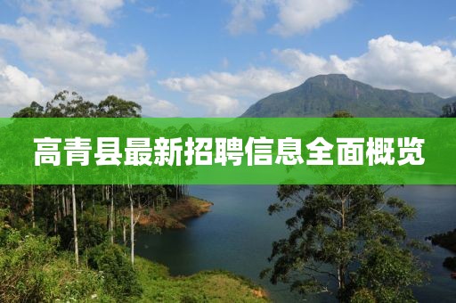 高青县最新招聘信息全面概览
