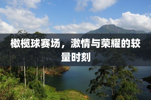 橄榄球赛场，激情与荣耀的较量时刻