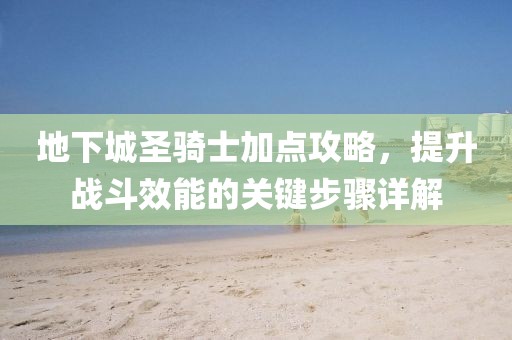 地下城圣骑士加点攻略，提升战斗效能的关键步骤详解
