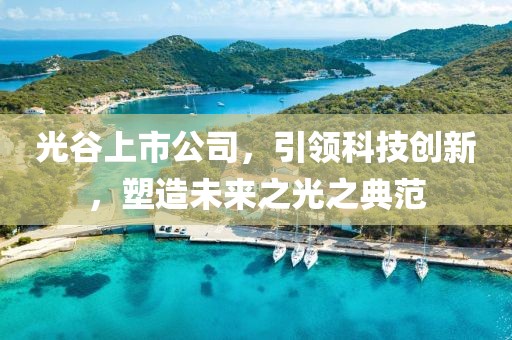 光谷上市公司，引领科技创新，塑造未来之光之典范