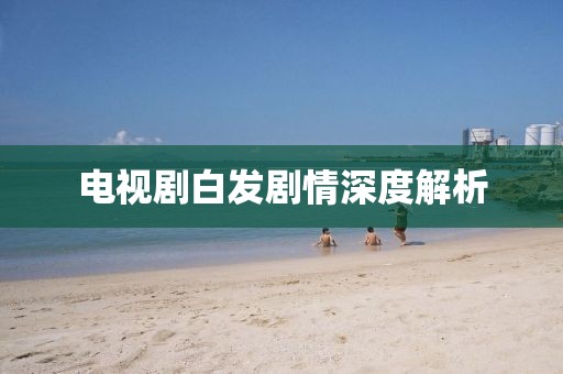 电视剧白发剧情深度解析