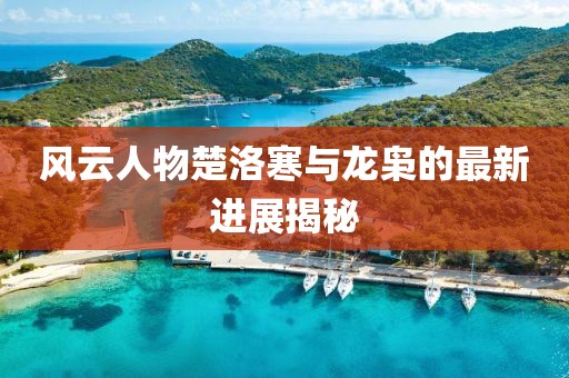 风云人物楚洛寒与龙枭的最新进展揭秘