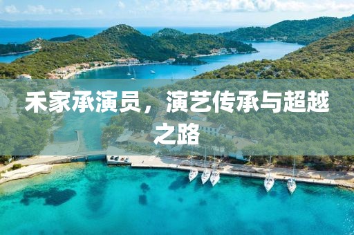 禾家承演员，演艺传承与超越之路