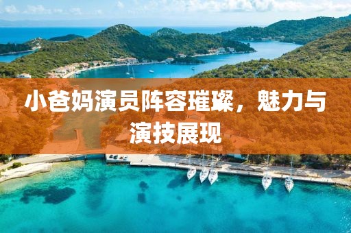 小爸妈演员阵容璀璨，魅力与演技展现
