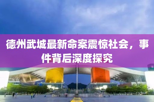德州武城最新命案震惊社会，事件背后深度探究