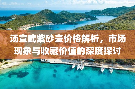 汤宣武紫砂壶价格解析，市场现象与收藏价值的深度探讨