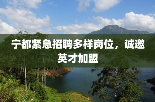 宁都紧急招聘多样岗位，诚邀英才加盟