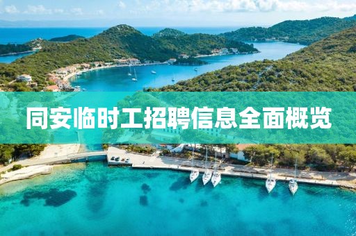 同安临时工招聘信息全面概览