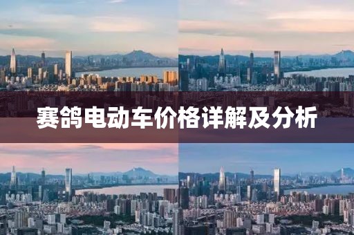 赛鸽电动车价格详解及分析