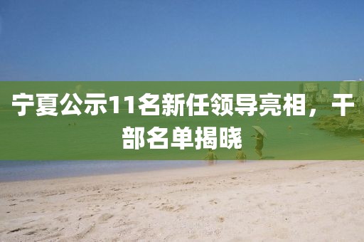 宁夏公示11名新任领导亮相，干部名单揭晓