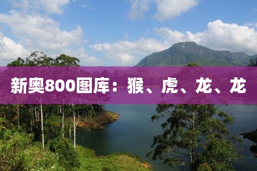 新奥800图库：猴、虎、龙、龙