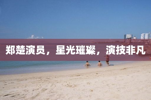 郑楚演员，星光璀璨，演技非凡