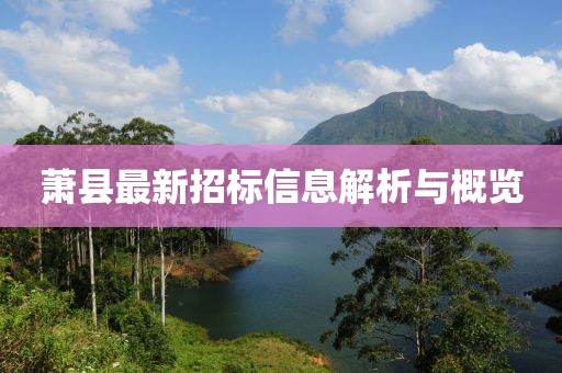 萧县最新招标信息解析与概览