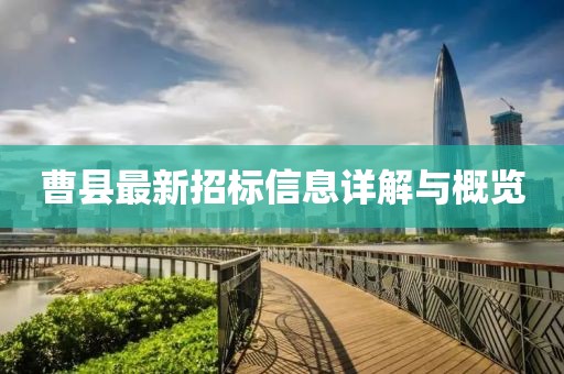 曹县最新招标信息详解与概览