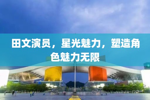 田文演员，星光魅力，塑造角色魅力无限