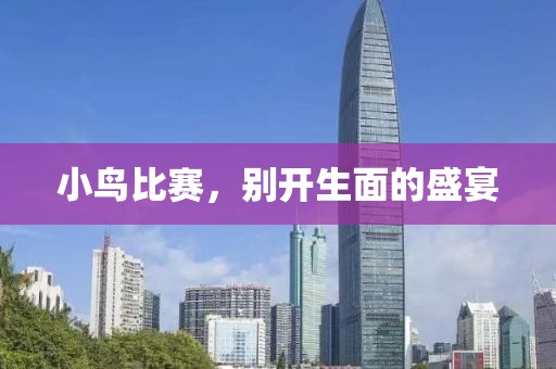 小鸟比赛，别开生面的盛宴