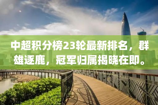 中超积分榜23轮最新排名，群雄逐鹿，冠军归属揭晓在即。