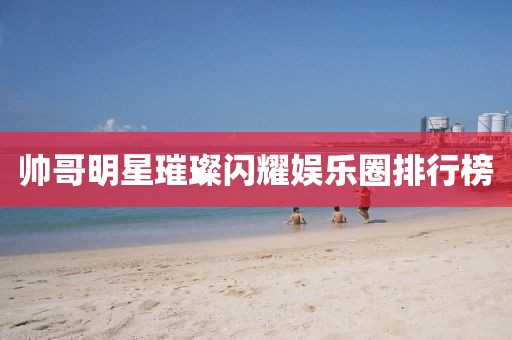 帅哥明星璀璨闪耀娱乐圈排行榜