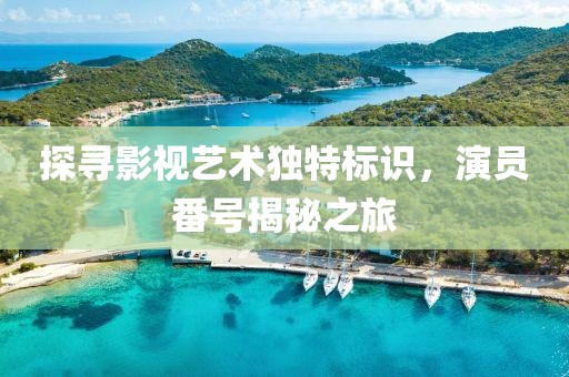 探寻影视艺术独特标识，演员番号揭秘之旅