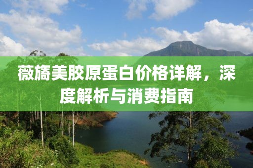 薇旖美胶原蛋白价格详解，深度解析与消费指南