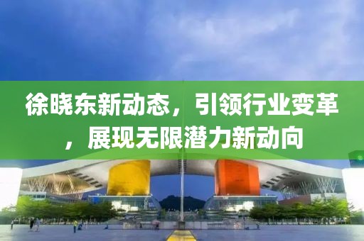 徐晓东新动态，引领行业变革，展现无限潜力新动向