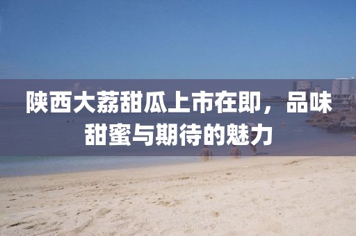 陕西大荔甜瓜上市在即，品味甜蜜与期待的魅力