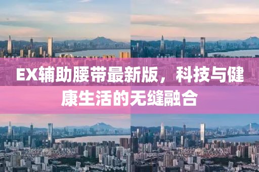 EX辅助腰带最新版，科技与健康生活的无缝融合