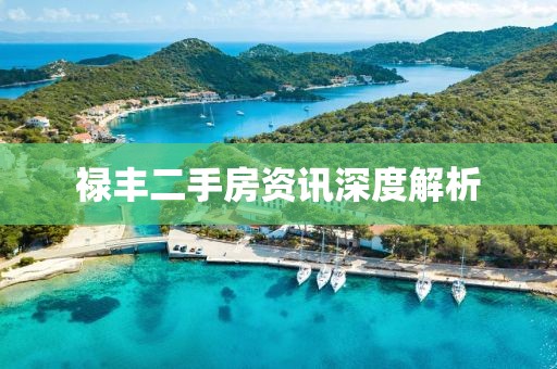 禄丰二手房资讯深度解析