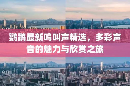 鹦鹉最新鸣叫声精选，多彩声音的魅力与欣赏之旅