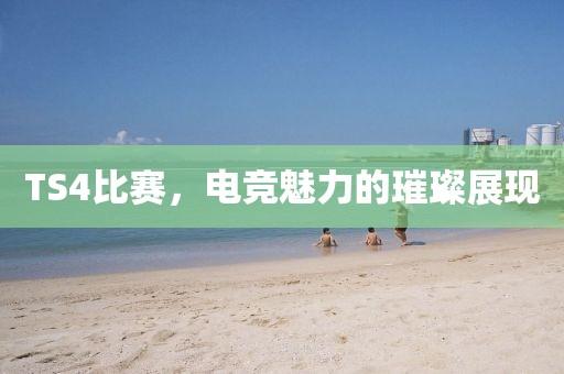 TS4比赛，电竞魅力的璀璨展现