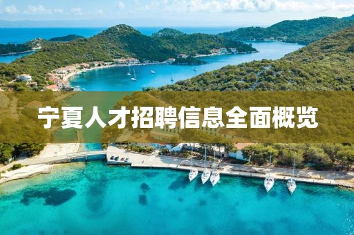 宁夏人才招聘信息全面概览