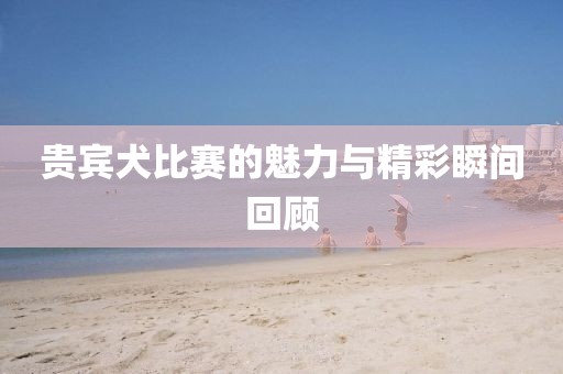 贵宾犬比赛的魅力与精彩瞬间回顾