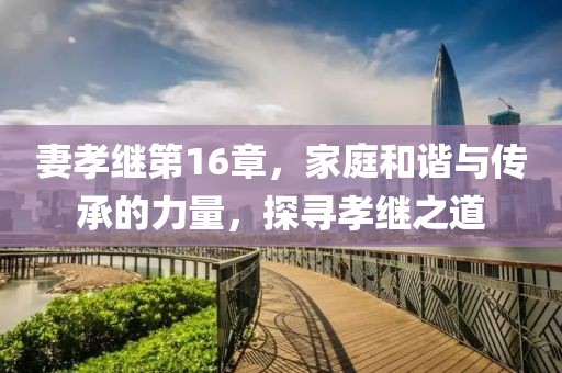 妻孝继第16章，家庭和谐与传承的力量，探寻孝继之道