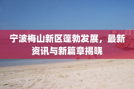 宁波梅山新区蓬勃发展，最新资讯与新篇章揭晓