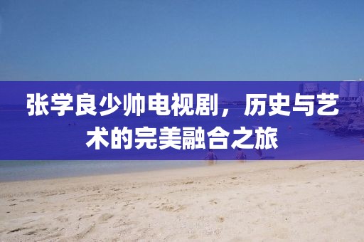 张学良少帅电视剧，历史与艺术的完美融合之旅