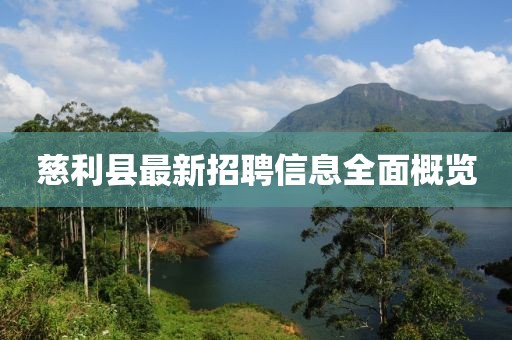 慈利县最新招聘信息全面概览