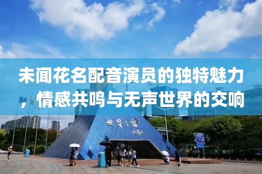 未闻花名配音演员的独特魅力，情感共鸣与无声世界的交响