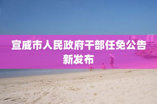 宣威市人民政府干部任免公告新发布