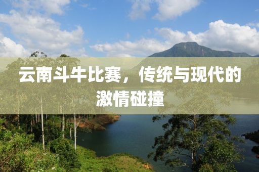 云南斗牛比赛，传统与现代的激情碰撞