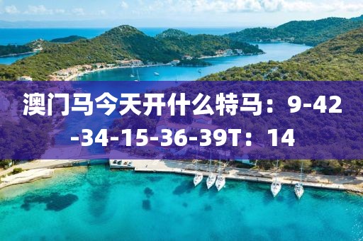 澳门马今天开什么特马：9-42-34-15-36-39T：14