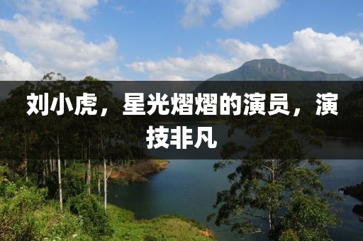 刘小虎，星光熠熠的演员，演技非凡
