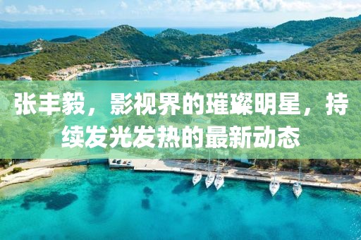 张丰毅，影视界的璀璨明星，持续发光发热的最新动态