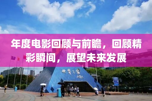 年度电影回顾与前瞻，回顾精彩瞬间，展望未来发展