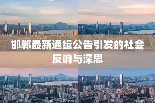 邯郸最新通缉公告引发的社会反响与深思