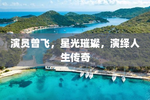 演员曾飞，星光璀璨，演绎人生传奇