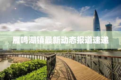 雁鸣湖镇最新动态报道速递
