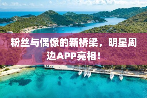 粉丝与偶像的新桥梁，明星周边APP亮相！