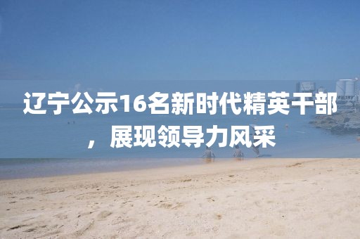 辽宁公示16名新时代精英干部，展现领导力风采