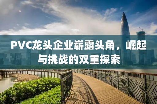 PVC龙头企业崭露头角，崛起与挑战的双重探索