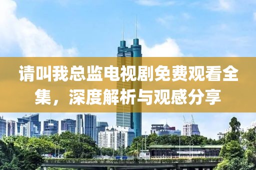 请叫我总监电视剧免费观看全集，深度解析与观感分享
